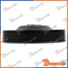 Poulie damper vilebrequin pour RENAULT | RKP-RE-010, 5172
